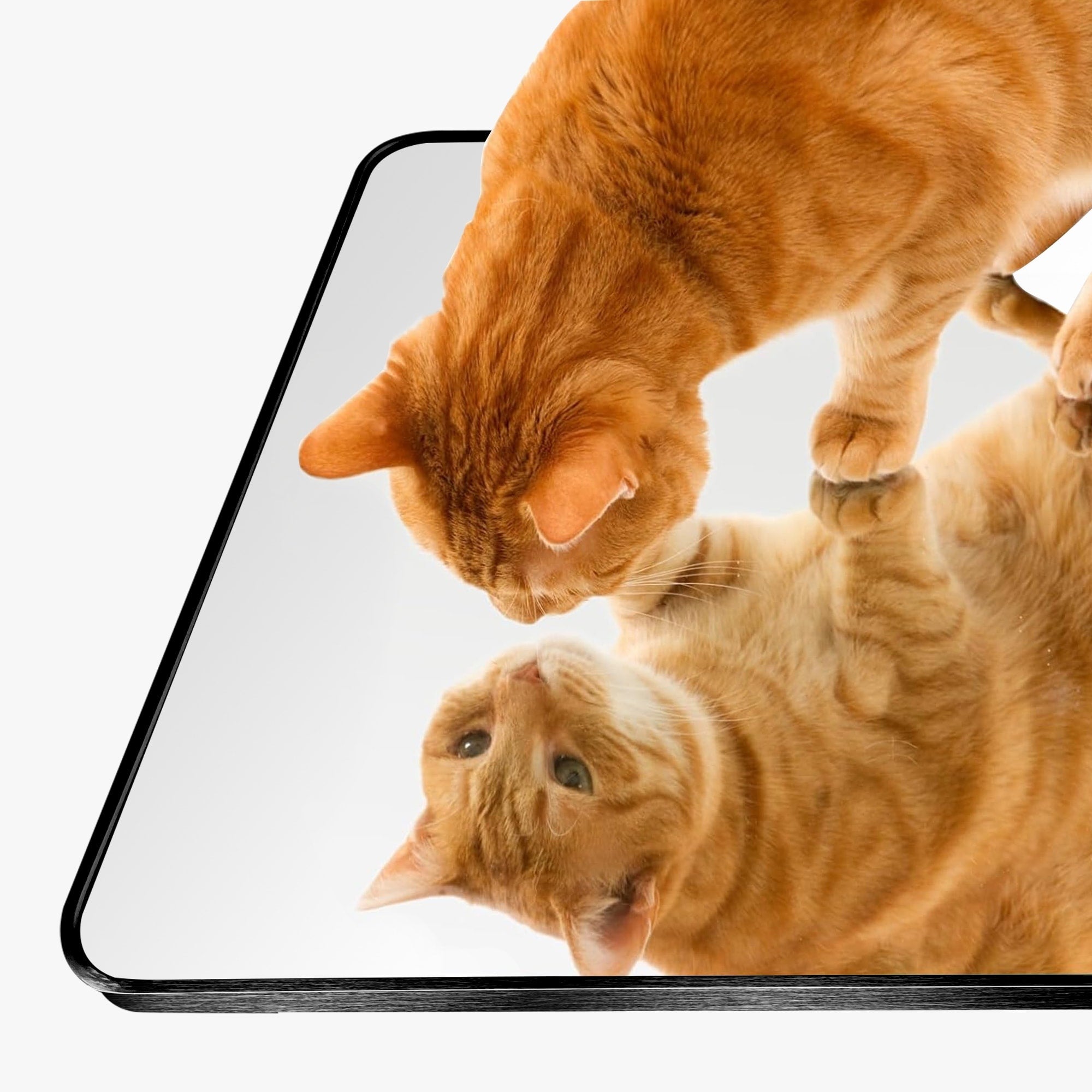 Miroir de sol moderne pleine longueur Miroir autoportant