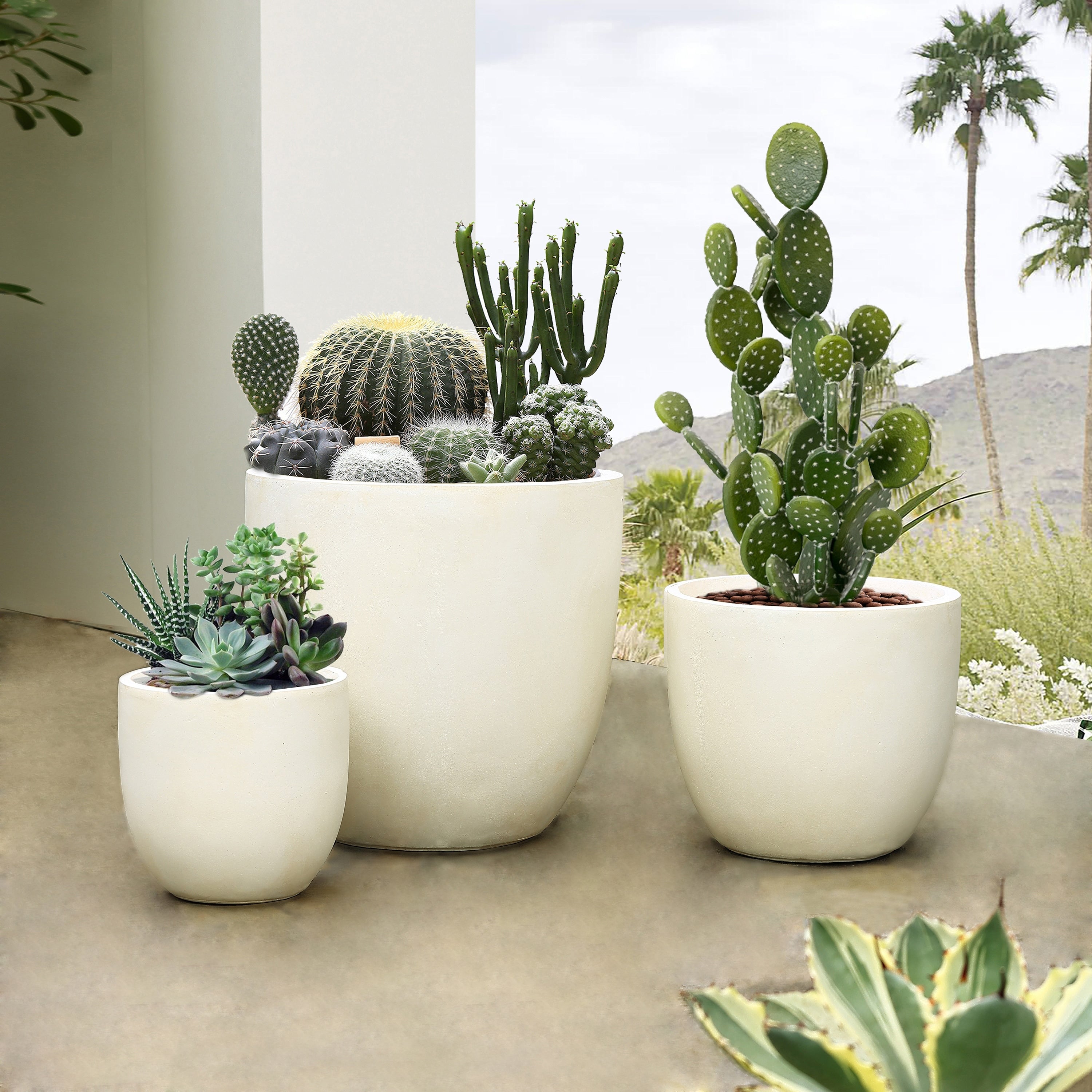 Jardinière ronde conique en MgO, pour l'intérieur et l'extérieur