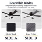 Ventilateur de plafond LED d'intérieur traditionnel Prominence Home Benton avec lumière et chaînes de traction