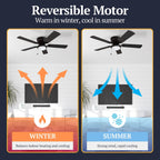 Ventilateur de plafond LED d'intérieur traditionnel Prominence Home Benton avec lumière et chaînes de traction