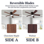 Ventilateur de plafond LED d'intérieur traditionnel Prominence Home Benton avec lumière et chaînes de traction