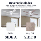 Ventilateur de plafond LED d'intérieur traditionnel Prominence Home Benton avec lumière et chaînes de traction