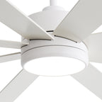 Ventilateur de plafond LED noir à 8 pales de 65 pouces avec éclairage et télécommande