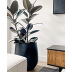 Jardinière conique en fibre de verre DreamPatio La Mirada, 1 pièce, pour intérieur/extérieur