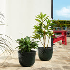 Glitzhome 19,75 H Lot de 2 pots de fleurs surdimensionnés en imitation céramique écologique texturée diamantée pour porche