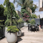 Jardinière conique en fibre de verre DreamPatio La Mirada, 1 pièce, pour intérieur/extérieur