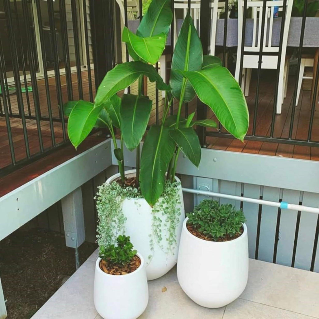 Jardinière conique en fibre de verre DreamPatio La Mirada, 1 pièce, pour intérieur/extérieur