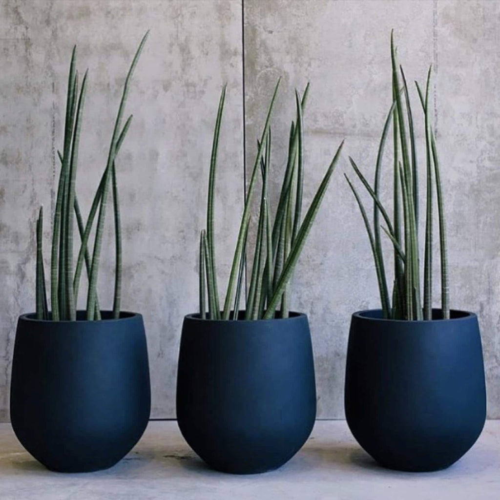 Jardinière conique en fibre de verre DreamPatio La Mirada, 1 pièce, pour intérieur/extérieur