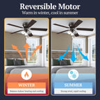 Ventilateur de plafond d'intérieur traditionnel de style ferme Prominence Home Renton