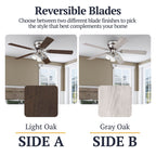 Ventilateur de plafond d'intérieur traditionnel de style ferme Prominence Home Renton