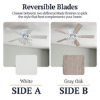 Ventilateur de plafond d'intérieur traditionnel de style ferme Prominence Home Renton