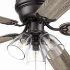 Ventilateur de plafond d'intérieur traditionnel de style ferme Prominence Home Renton