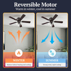 Ventilateur de plafond d'intérieur traditionnel de style ferme Prominence Home Renton