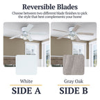 Ventilateur de plafond d'intérieur traditionnel de style ferme Prominence Home Renton