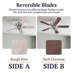 Ventilateur de plafond d'intérieur traditionnel de style ferme Prominence Home Renton