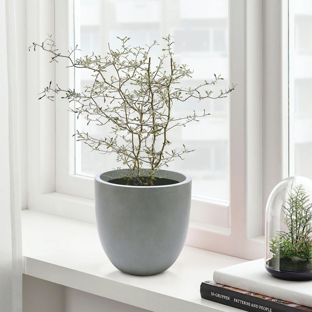 Jardinière ronde conique en MgO, pour l'intérieur et l'extérieur