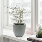 Jardinière ronde conique en MgO, pour l'intérieur et l'extérieur