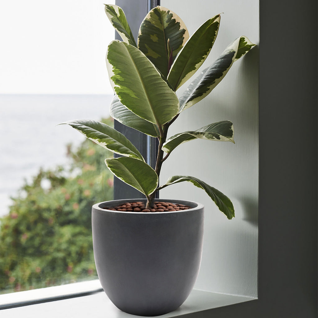 Jardinière ronde conique en MgO, pour l'intérieur et l'extérieur