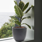 Jardinière ronde conique en MgO, pour l'intérieur et l'extérieur