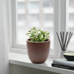 Jardinière ronde conique en MgO, pour l'intérieur et l'extérieur