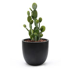 Jardinière ronde conique en MgO, pour l'intérieur et l'extérieur