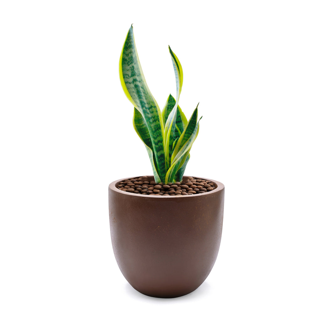 Jardinière ronde conique en MgO, pour l'intérieur et l'extérieur