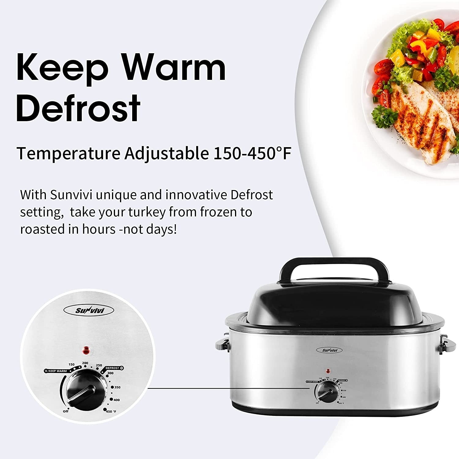 Four à rôtir Royalcraft avec plateau amovible