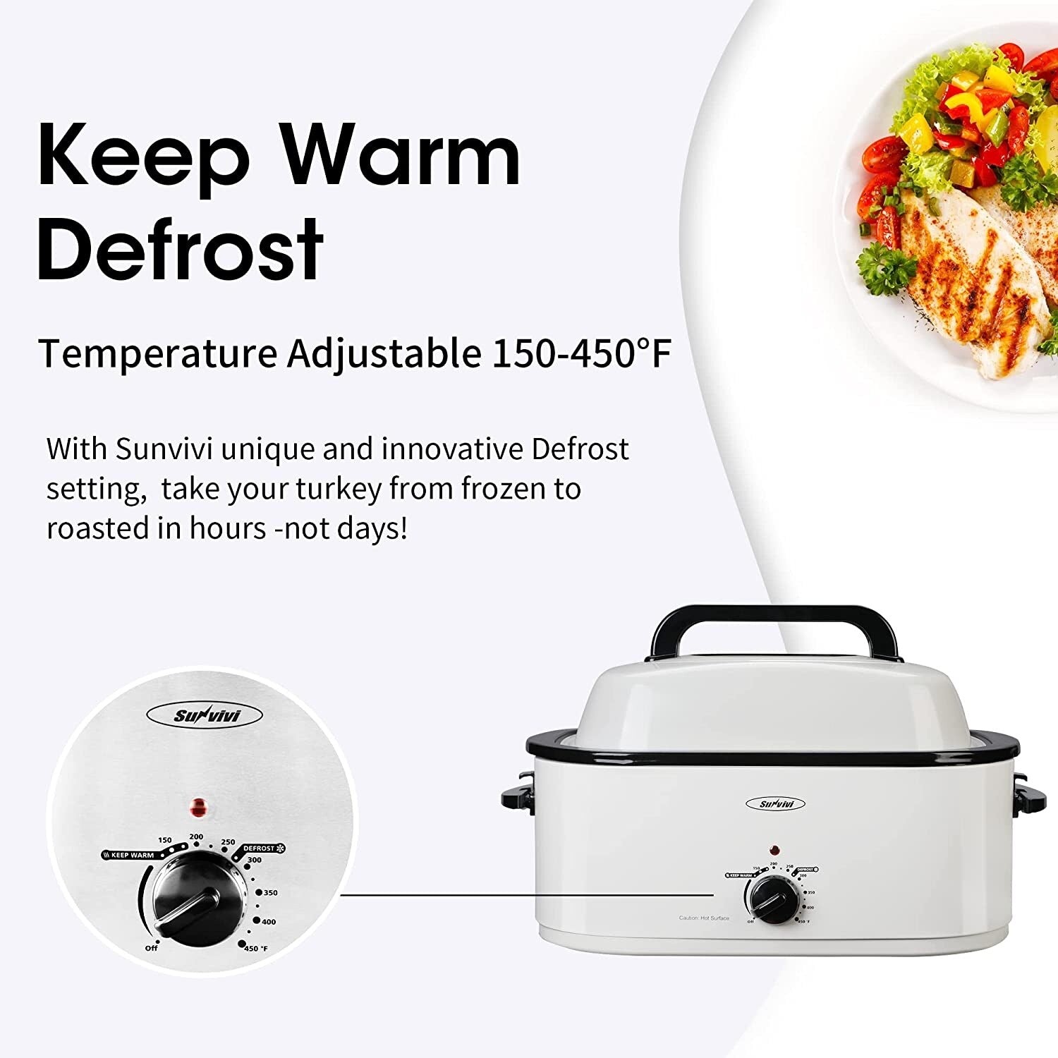 Four à rôtir Royalcraft avec plateau amovible