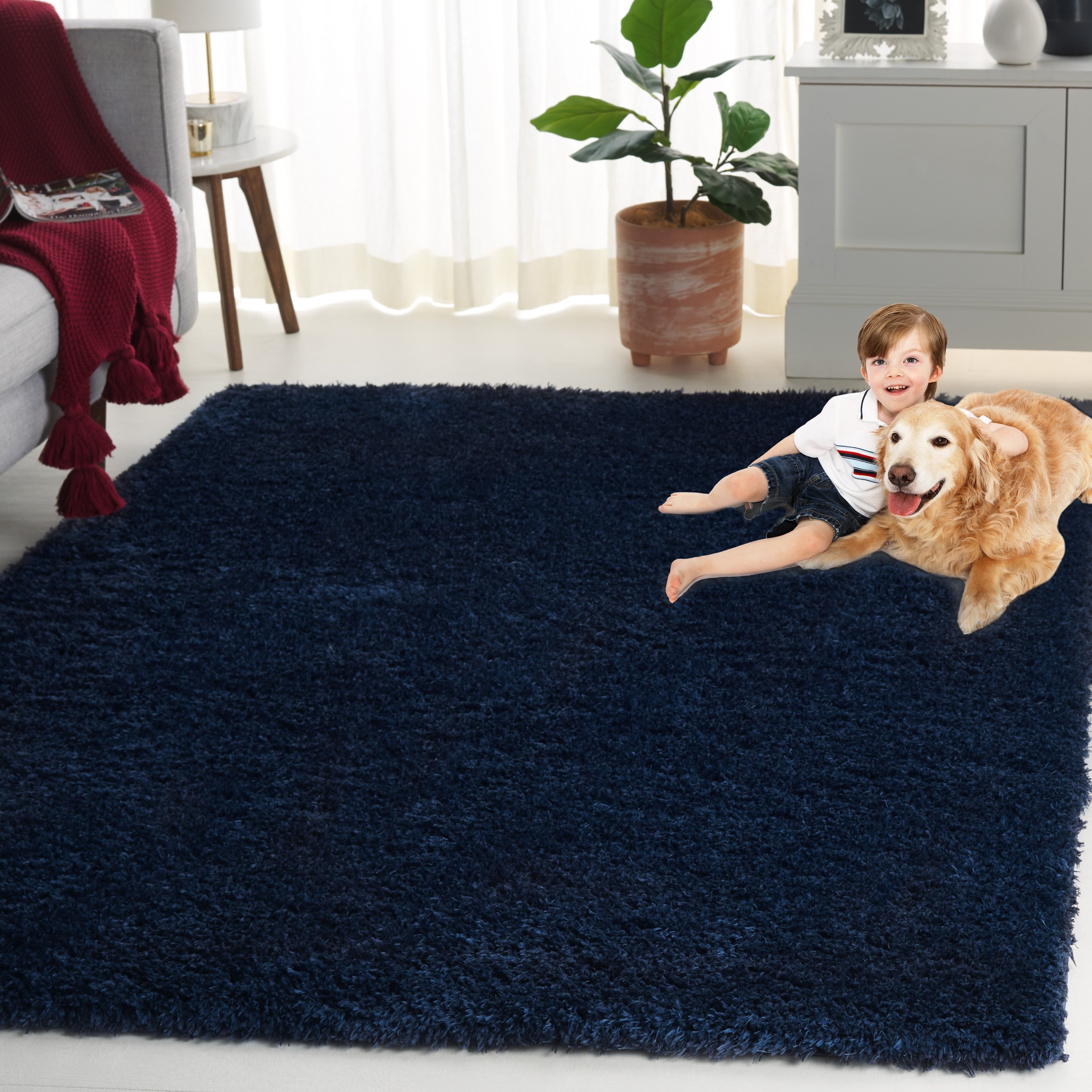 Tapis contemporain SAFAVIEH Lindsay Shag Luann
