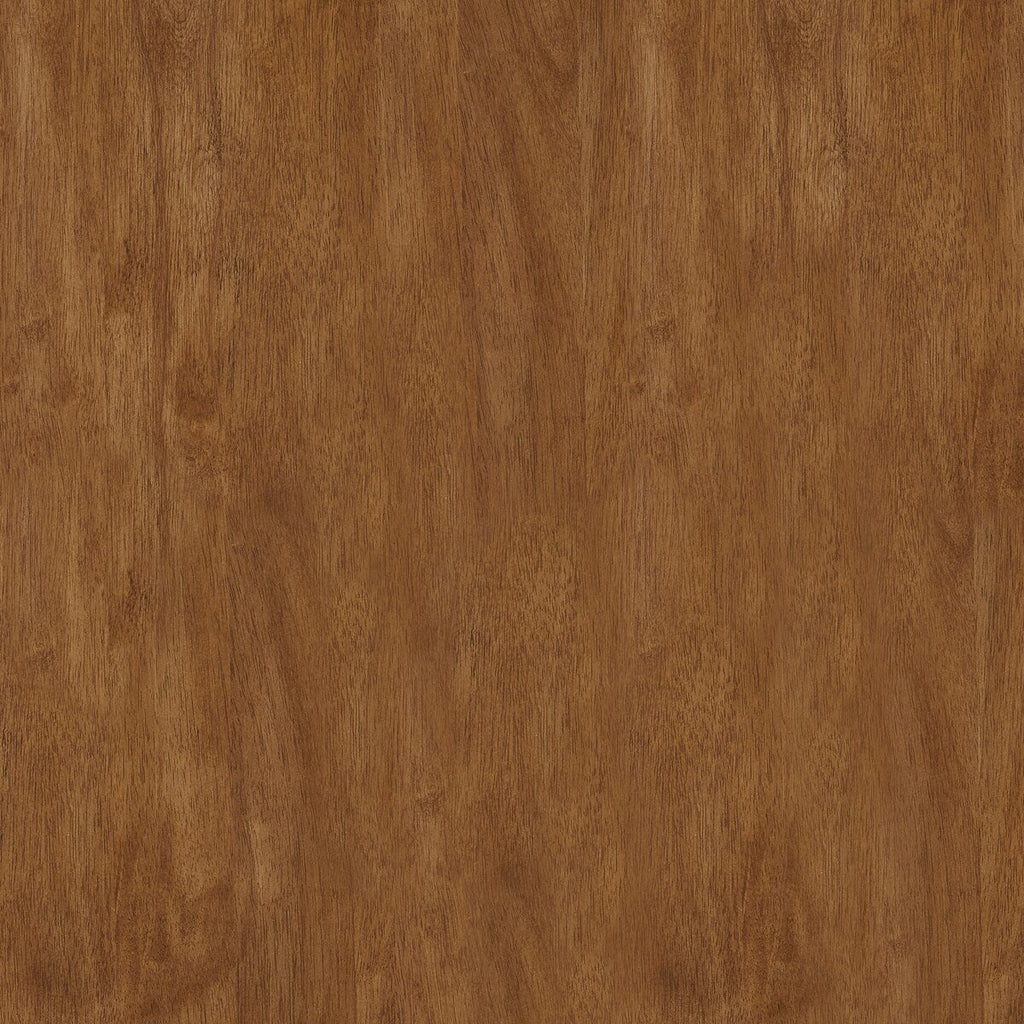 Tabourets de bar sans dossier Salvador II (lot de 2) par iNSPIRE Q Classic