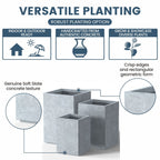 Jardinières rectangulaires en béton de grande taille / Grandes jardinières d'intérieur et d'extérieur