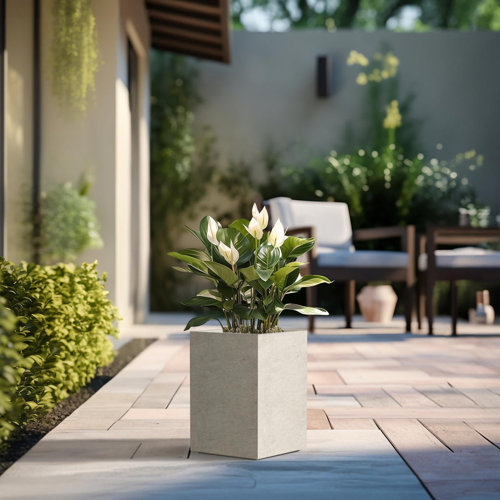 Jardinières rectangulaires en béton de grande taille / Grandes jardinières d'intérieur et d'extérieur