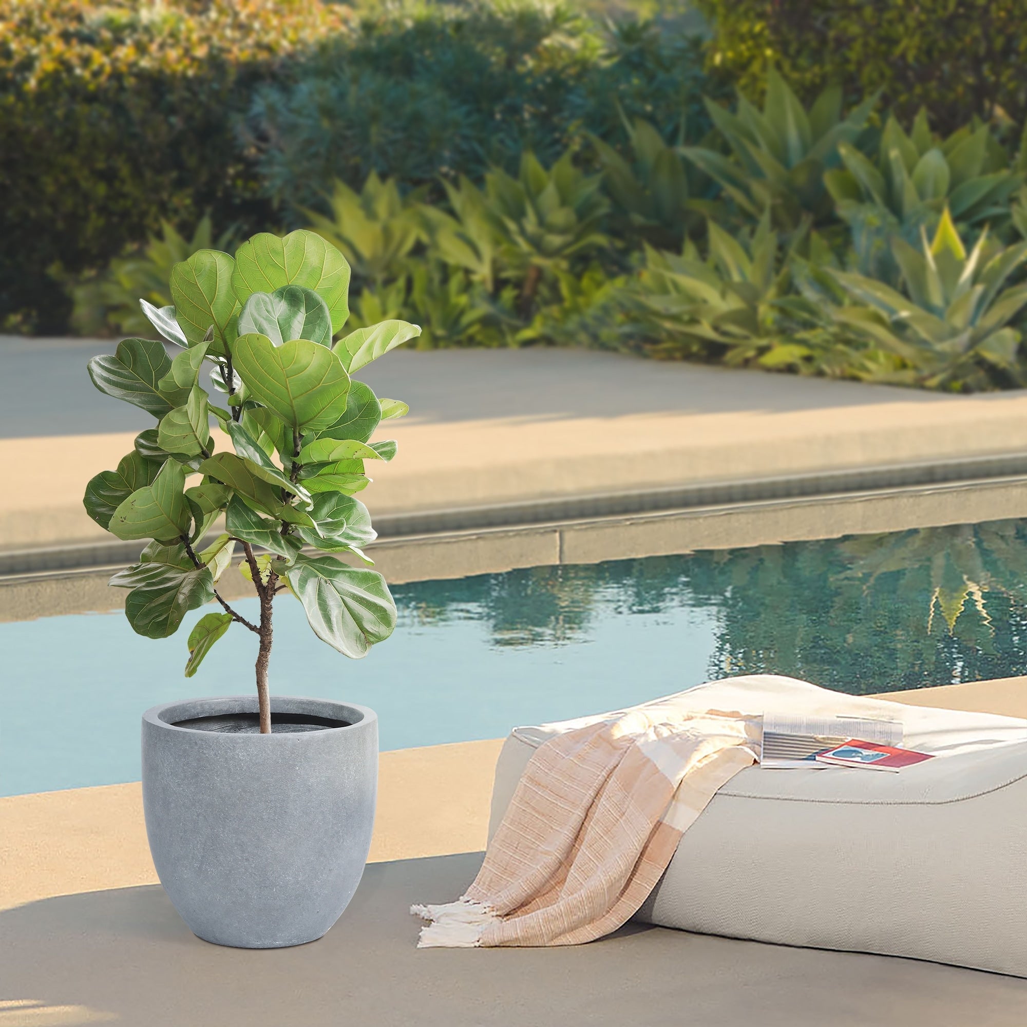 Jardinière ronde conique en MgO, pour l'intérieur et l'extérieur