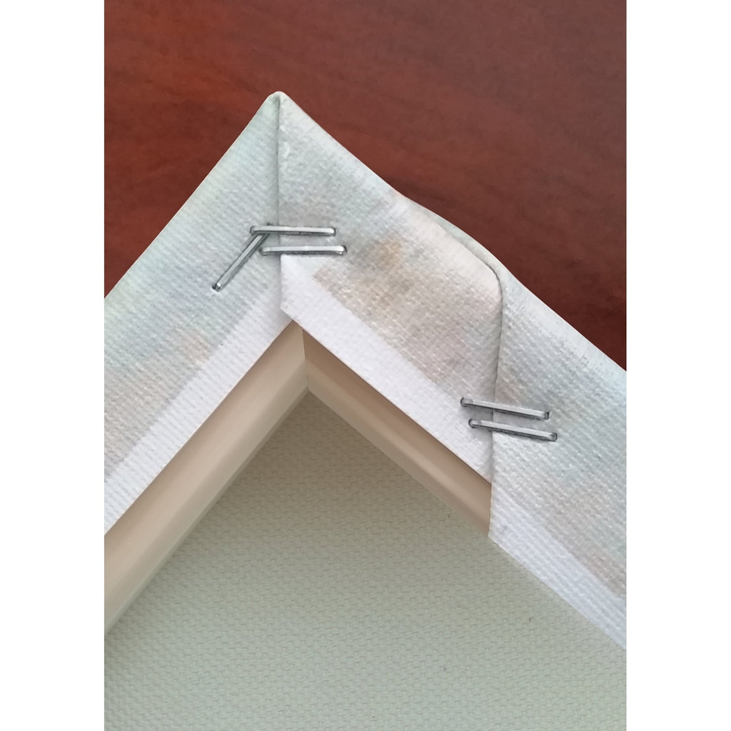 Toile « Amandier en fleurs rouges » de Vincent van Gogh