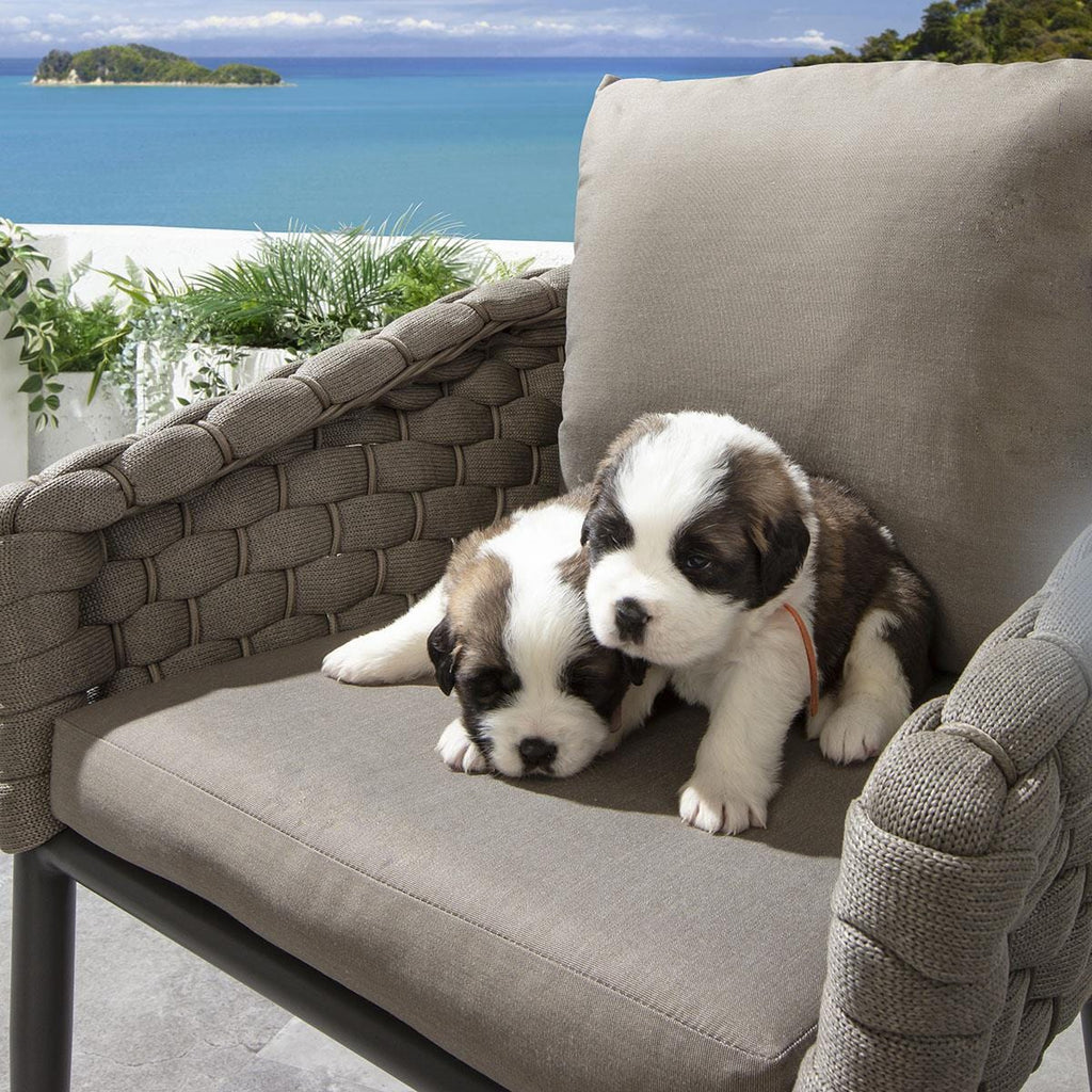 Ensemble de salle à manger d'extérieur rond Sundowner 6 places, aluminium café et beige